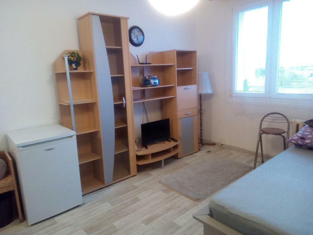 Studio Type Lägenhet Plzeň Exteriör bild